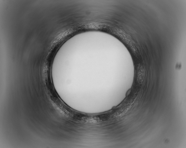 X0000098140683200805011344