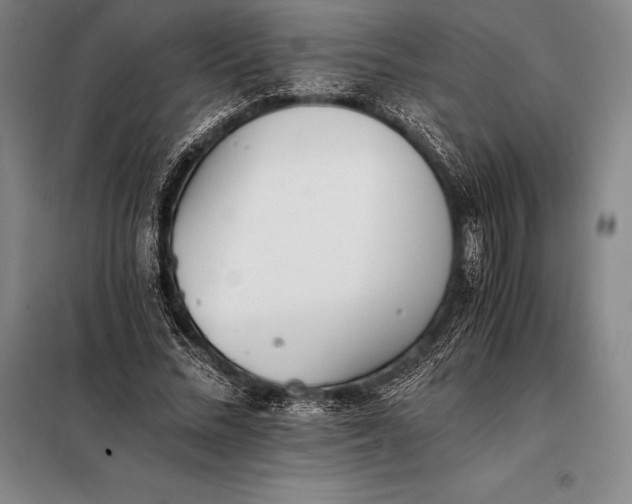 X0000098140684200805011344