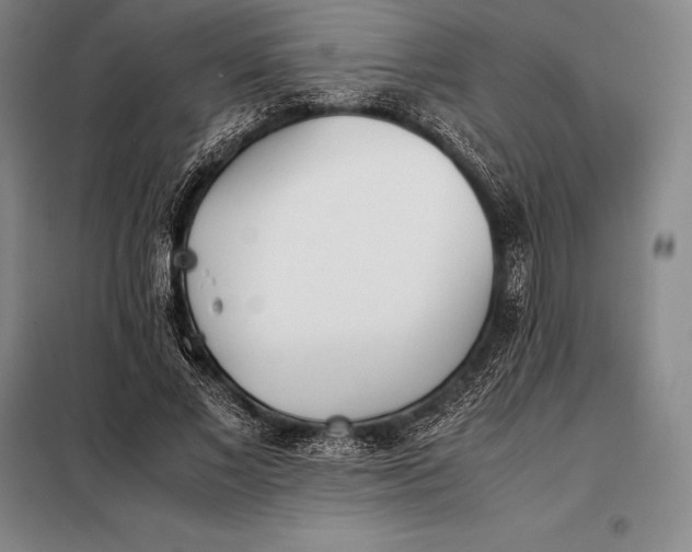 X0000098140685200805011344