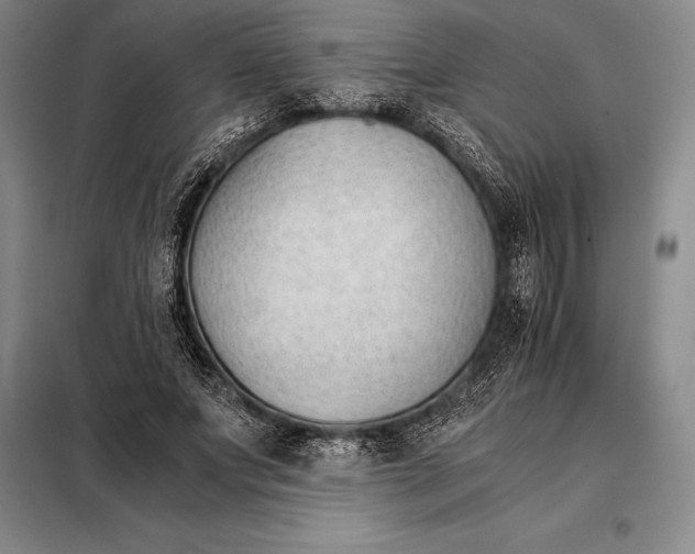 X0000098140687200805011344