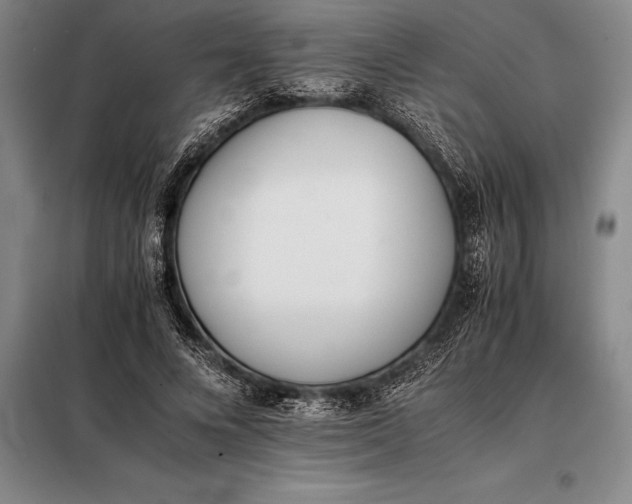 X0000098140688200805011344