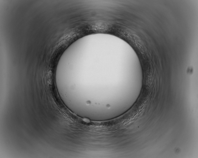 X0000098140689200805011344