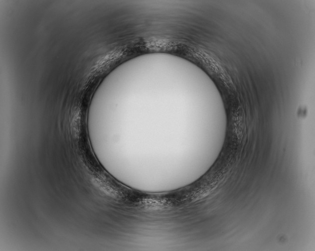 X0000098140690200805011344