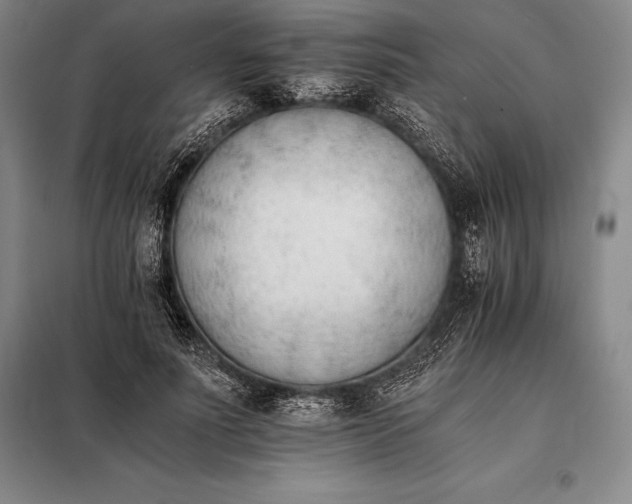X0000098140691200805011344