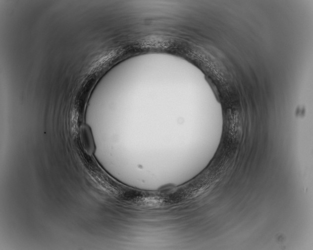 X0000098140692200805011344