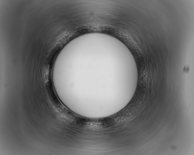 X0000098140694200805011344