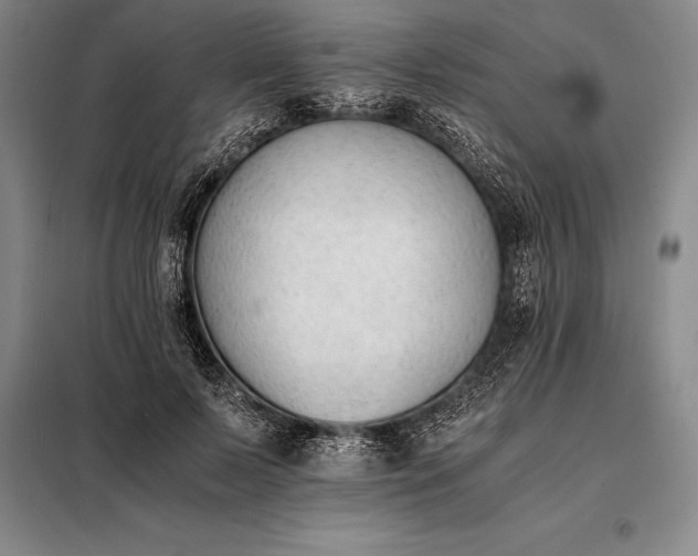 X0000098140695200805011344