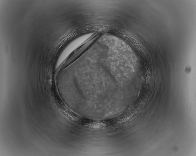 X0000098140696200805011344