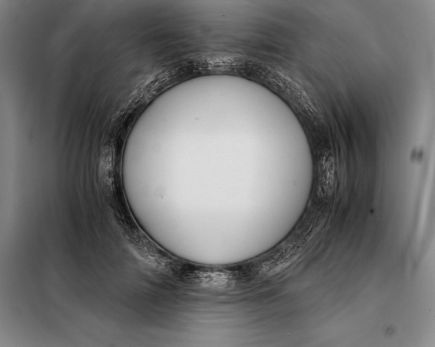 X0000098140698200805011344