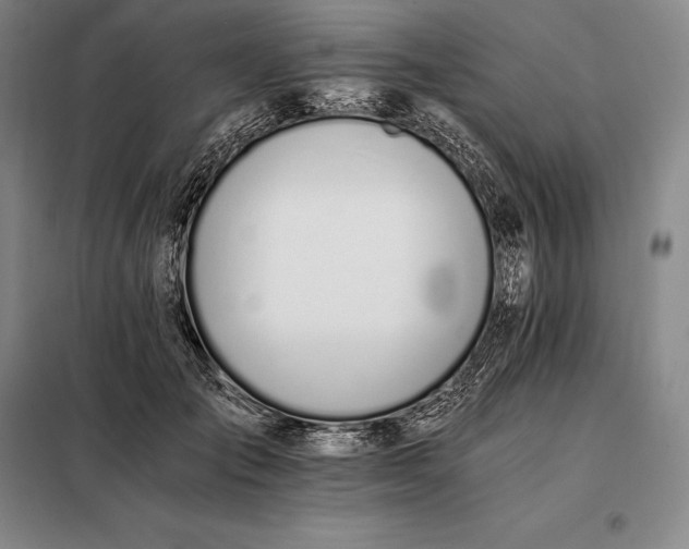 X0000098140701200805011344