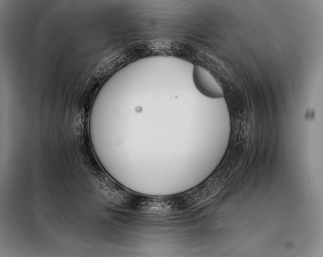 X0000098140702200805011344