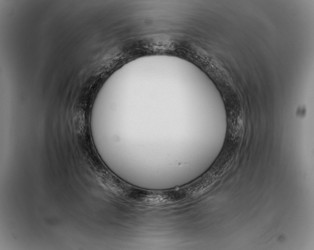 X0000098140704200805011344