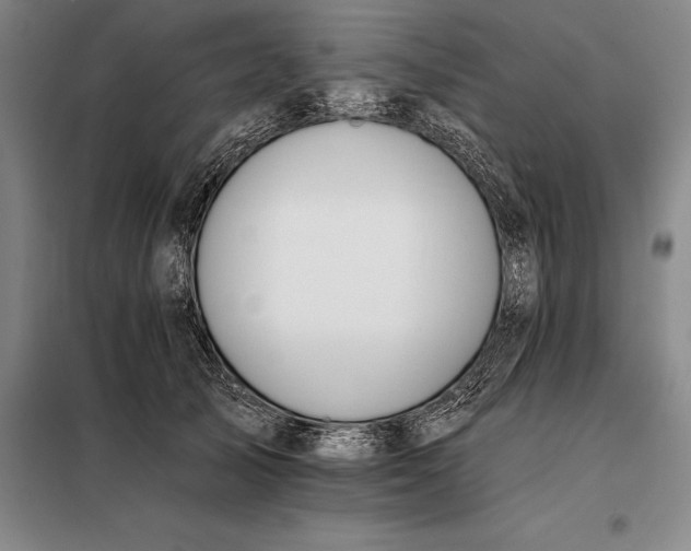 X0000098140705200805011344