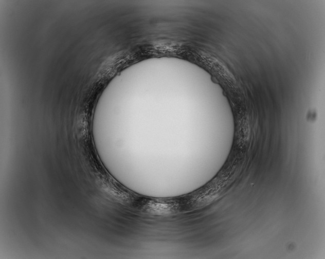 X0000098140706200805011344