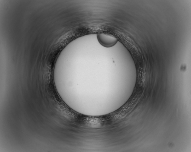 X0000098140710200805011344