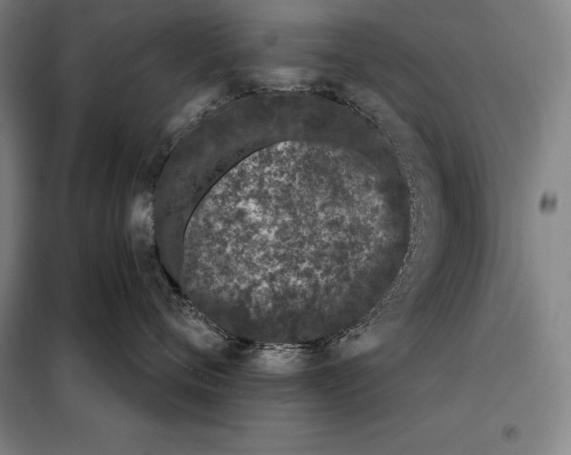 X0000098140720200805011343
