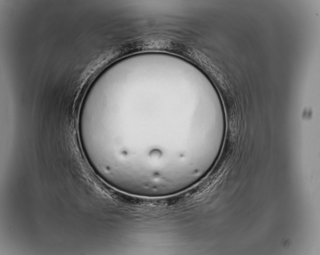 X0000098140721200805011343