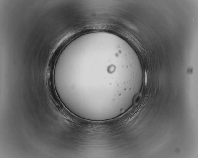 X0000098140723200805011343