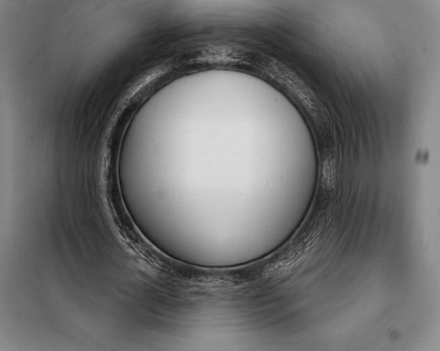 X0000098140724200805011343