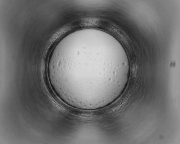 X0000098140725200805011343