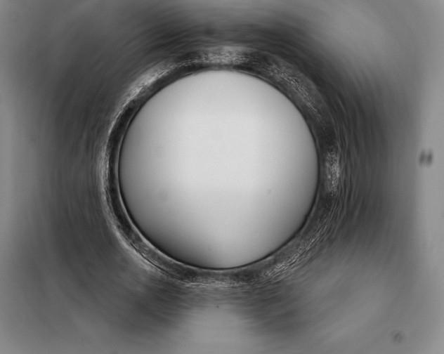 X0000098140726200805011343