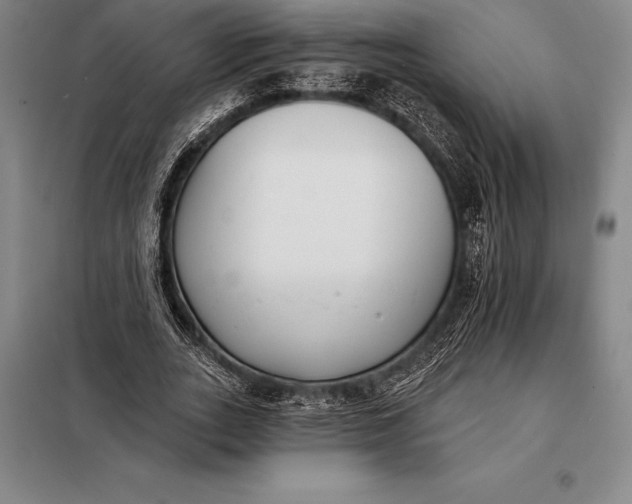 X0000098140727200805011343