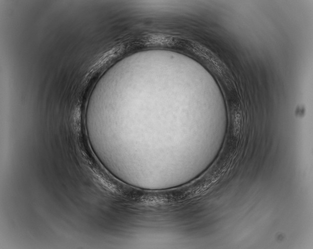 X0000098140729200805011343
