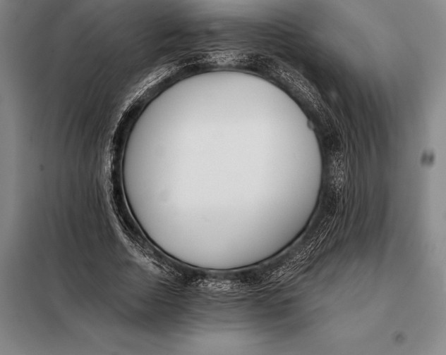 X0000098140730200805011343