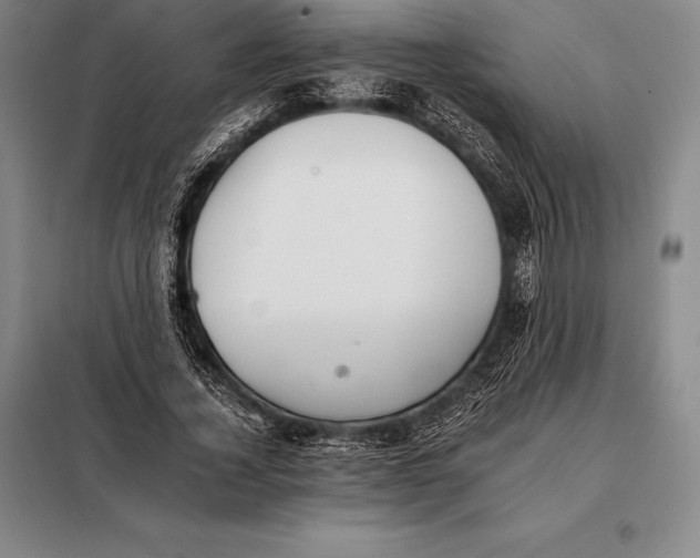 X0000098140732200805011343