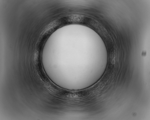 X0000098140735200805011343