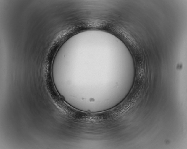 X0000098140736200805011343