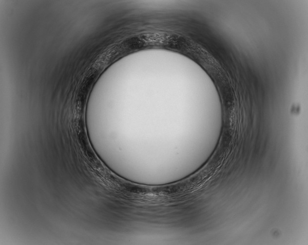 X0000098140737200805011343