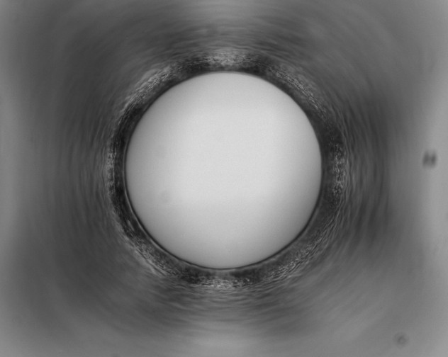 X0000098140738200805011343