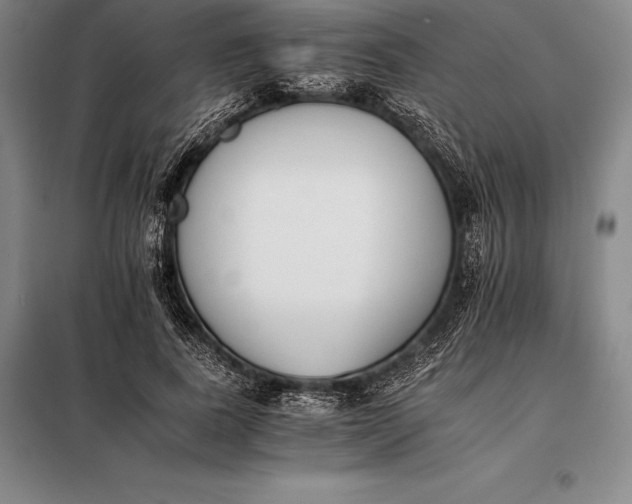 X0000098140739200805011343