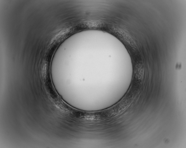 X0000098140740200805011343
