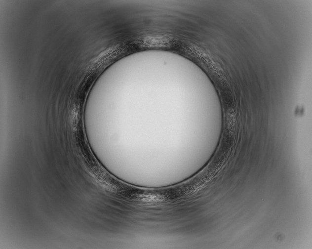 X0000098140741200805011343