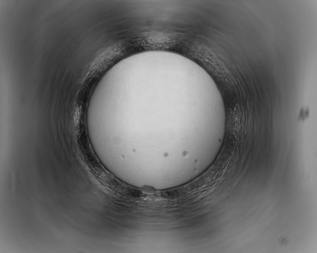 X0000098140742200805011343