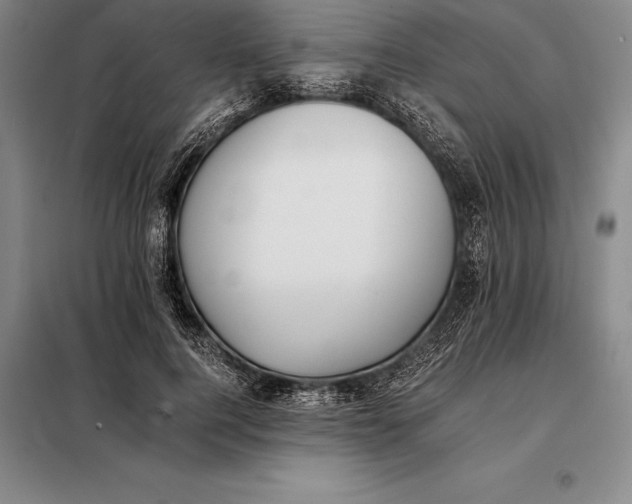 X0000098140744200805011343
