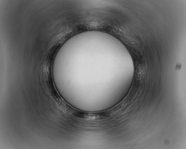X0000098140746200805011343