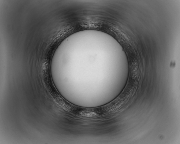 X0000098140747200805011343