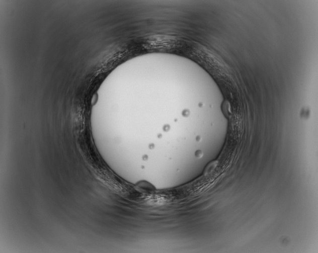 X0000098140751200805011343