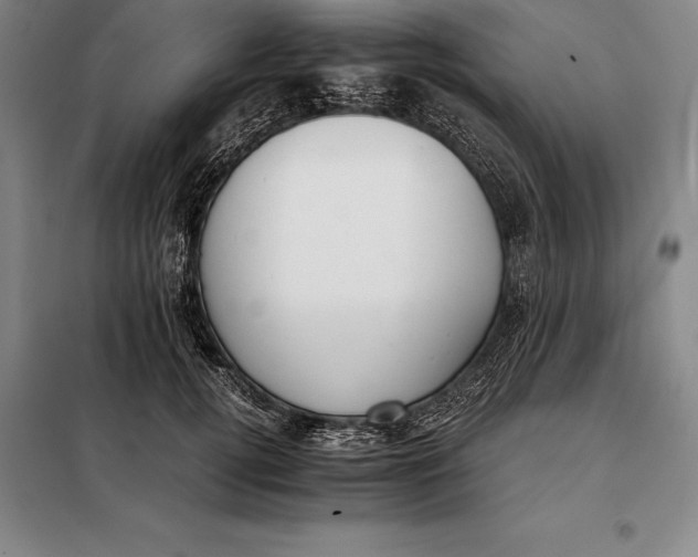 X0000098140752200805011343