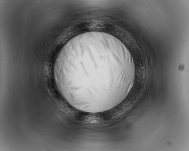 X0000098140755200805011343