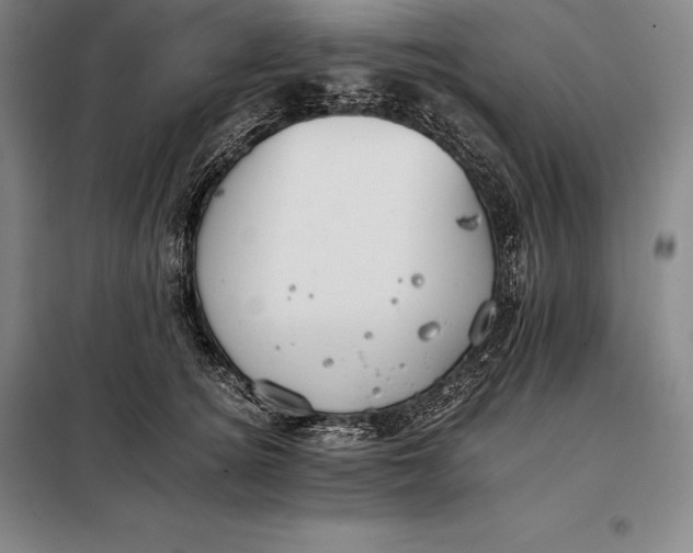 X0000098140756200805011343