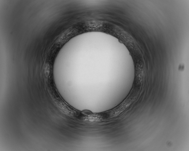 X0000098140758200805011343