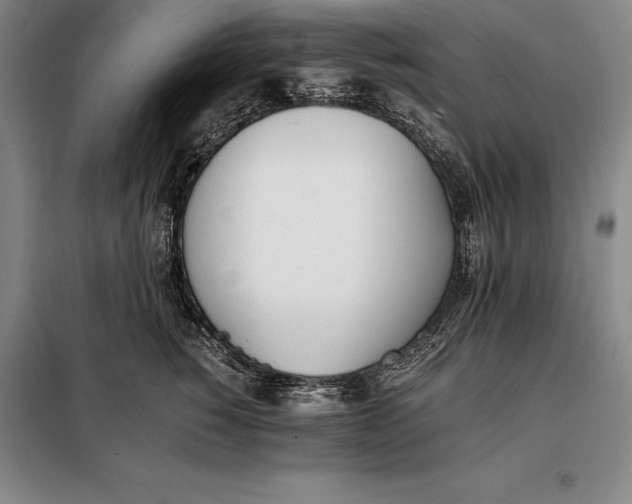 X0000098140760200805011343
