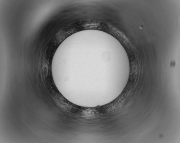 X0000098140761200805011343
