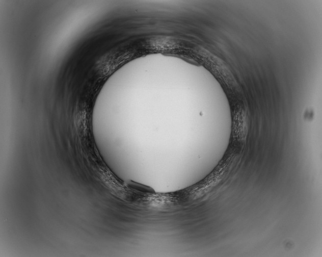 X0000098140762200805011343