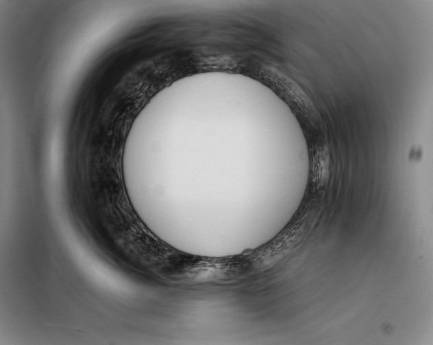 X0000098140764200805011343