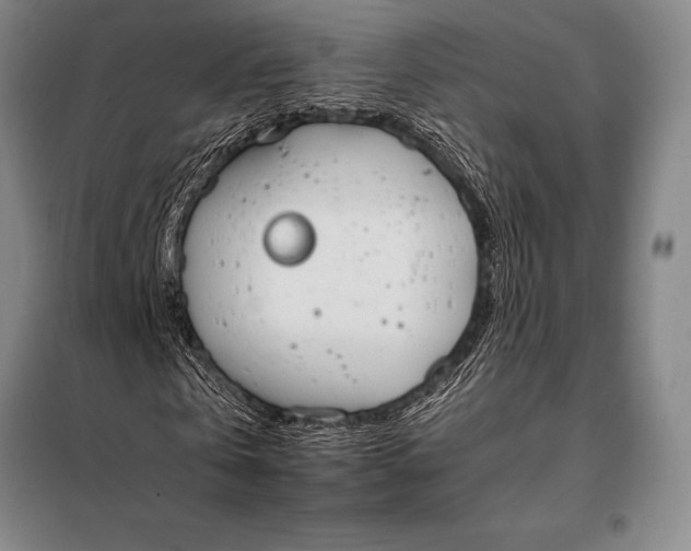 X0000098140769200805011343